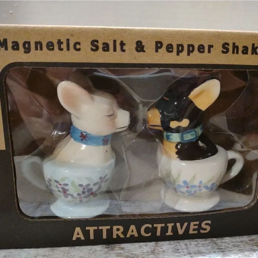 Teacup Chauawa Salt and Pepper magnetic Ceramic Shakers. C5